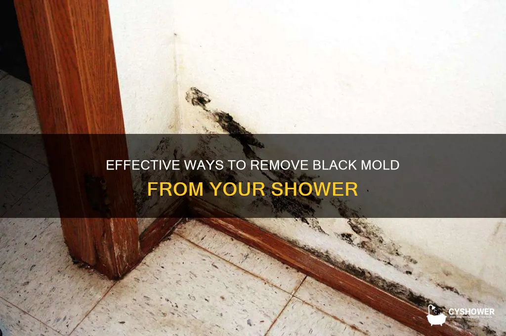 what gets black mold out of shower