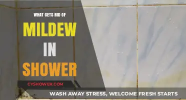 Effective Ways to Eliminate Mildew in Your Shower Quickly