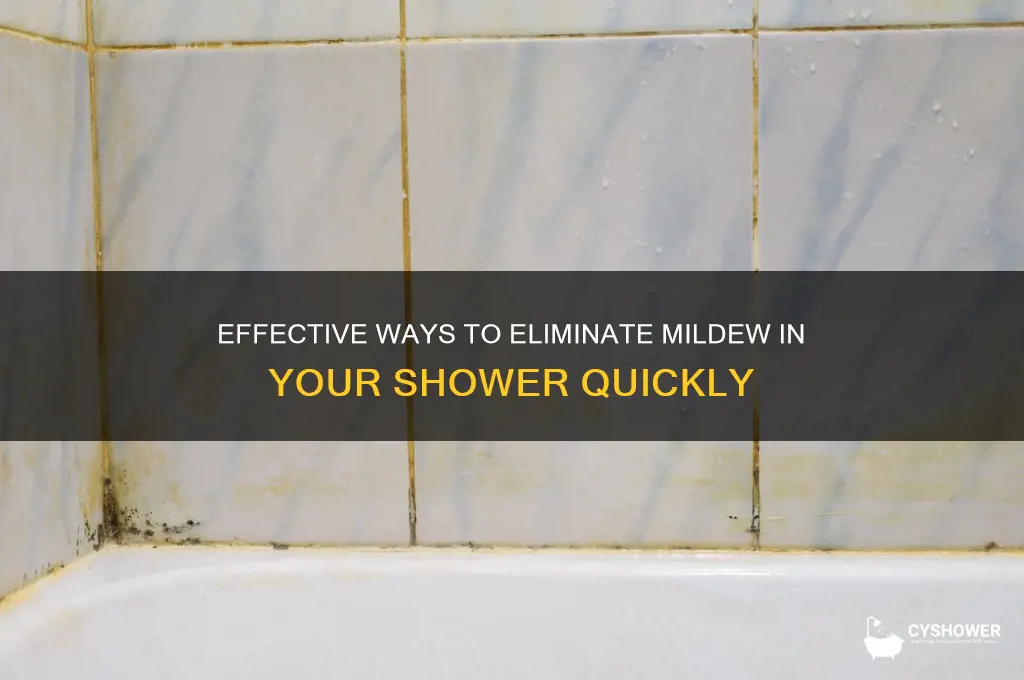 what gets rid of mildew in shower