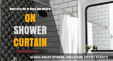 Effective Ways to Remove Mold and Mildew from Shower Curtains