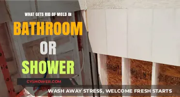 Effective Ways to Eliminate Mold in Your Bathroom or Shower