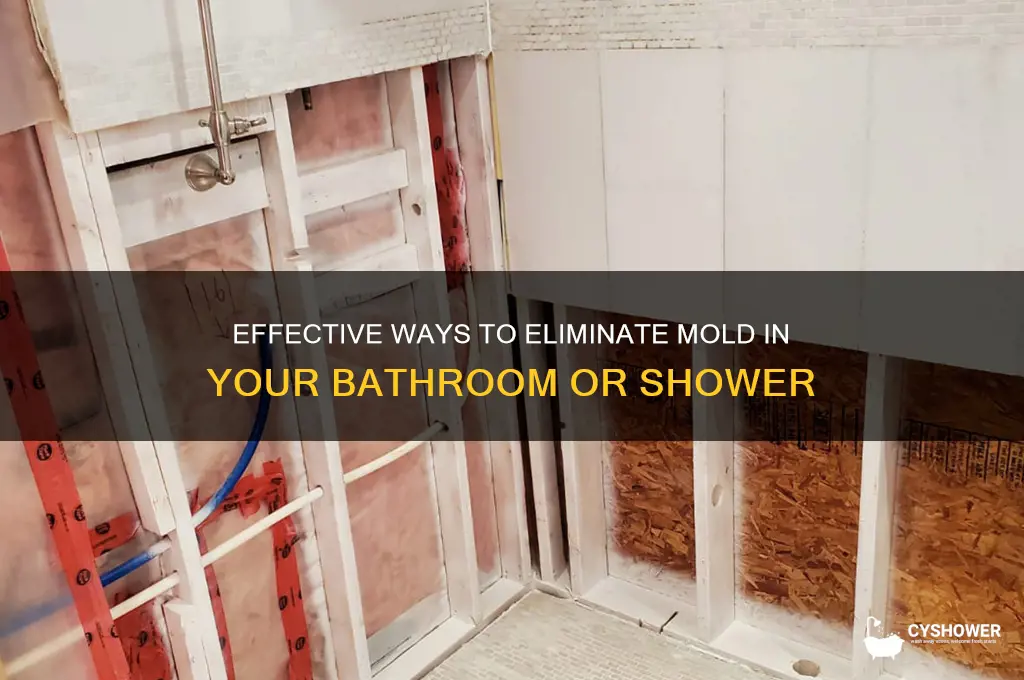 what gets rid of mold in bathroom or shower