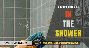 Effective Ways to Eliminate Mold in Your Shower Permanently