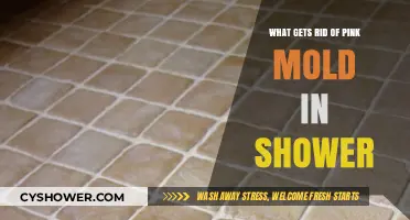 Effective Ways to Eliminate Pink Mold in Your Shower