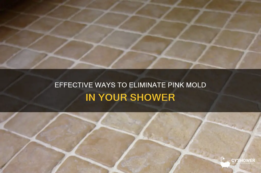 what gets rid of pink mold in shower