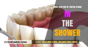 Effective Ways to Remove Stubborn Tartar Stains from Your Shower