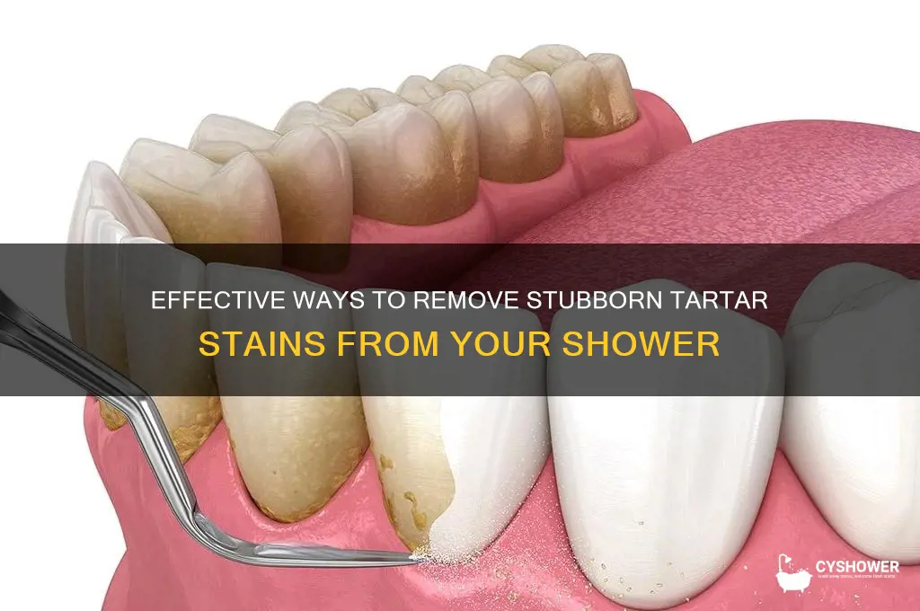 what gets rid of tartar stains in the shower