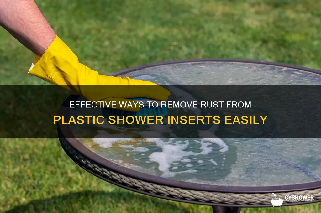 what gets rust out of plastic shower incerts