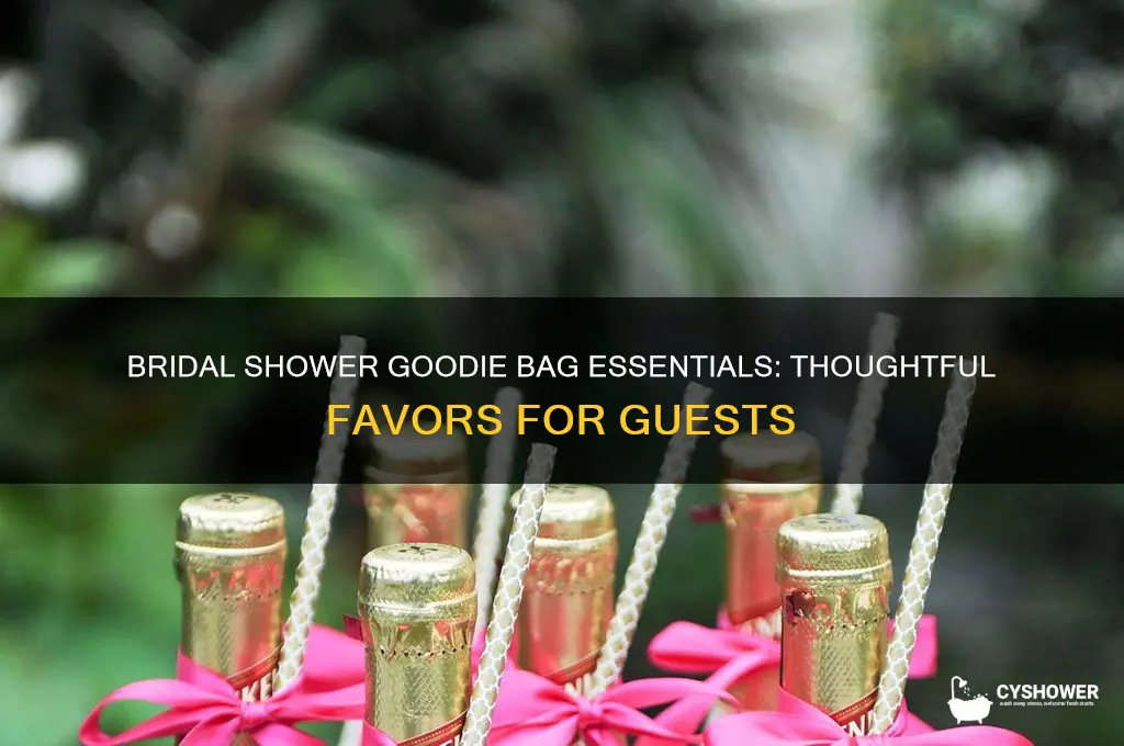 what goes in a bridal shower goodie bag