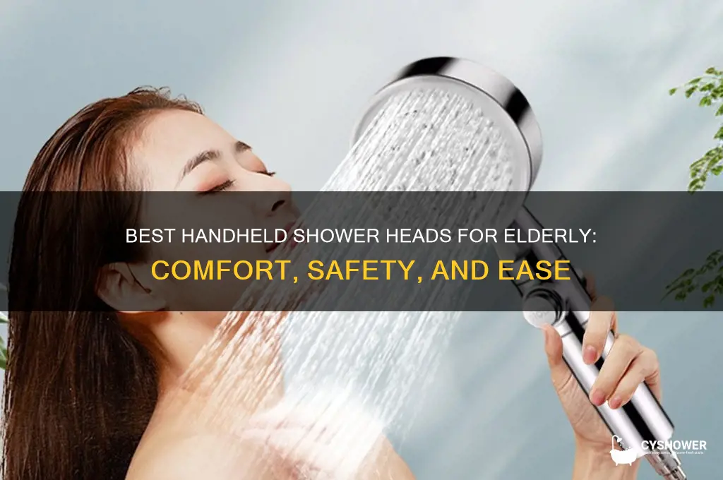 what handheld shower head is best for elderly