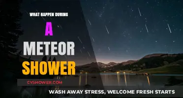 Meteor Shower Magic: Unveiling the Celestial Spectacle in the Night Sky