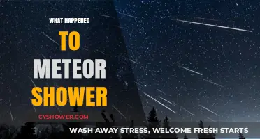 The Disappearance of Meteor Showers: Unraveling the Cosmic Mystery