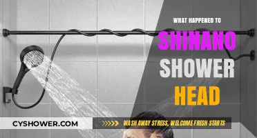 Shinano Shower Head Discontinued: What Happened and Where to Find Alternatives