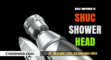 Shuc Shower Head Discontinued: Reasons, Alternatives, and Consumer Reactions