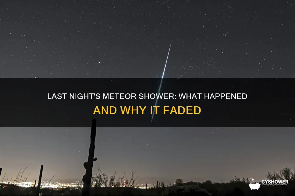 what happened to the meteor shower last night