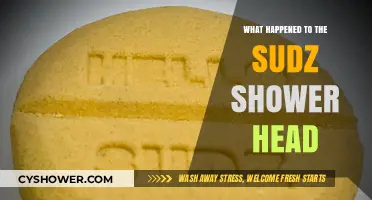 The Mysterious Disappearance of Sudz Shower Head: What Happened?