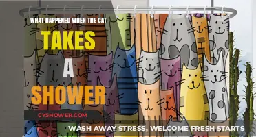 Cat's First Shower: Chaos, Curiosity, and Soapy Surprises Unveiled