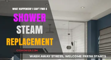 Shower Steam Replacement: What to Do When You Can't Find One