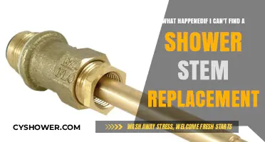 Can't Find a Shower Stem Replacement? Here's What to Do