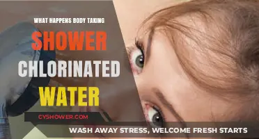 Chlorinated Shower Water: Effects on Your Skin and Overall Health