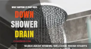 Poop Down the Shower Drain: Consequences and Plumbing Solutions