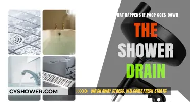 Shower Drain Poop Mishap: Consequences and Quick Fixes Explained