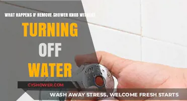 Removing Shower Knob Without Turning Off Water: Risks and Consequences