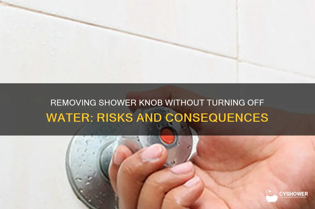 what happens if remove shower knob without turning off water