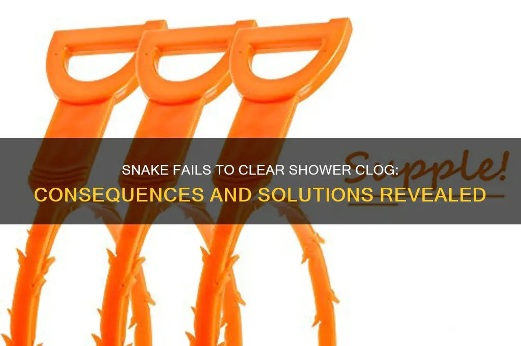 what happens if snake does not drain shower clog