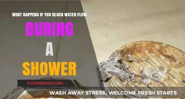 Blocking Water Flow in Shower: Consequences and Quick Fixes Explained