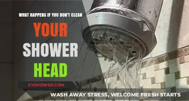 Neglecting Shower Head Cleaning: Unseen Dangers and Health Risks Revealed