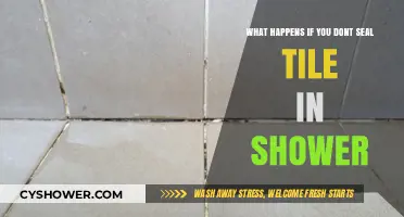 Unsealed Shower Tiles: Risks, Damage, and Why Sealing is Essential