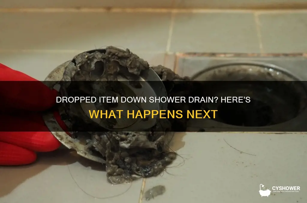 what happens if you drop something down the shower drain