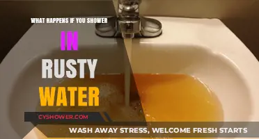 Rusty Water Showers: Health Risks and Plumbing Solutions Explained