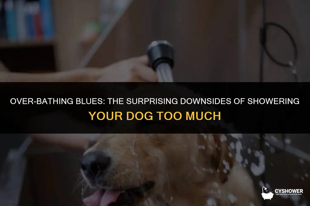 what happens if you shower your dog too much