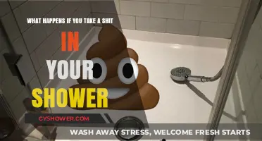 Shower Mishaps: Consequences of Pooping in Your Shower Explained