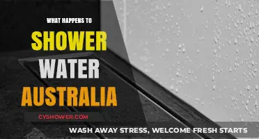 Where Does Shower Water Go? Australia's Drainage and Recycling Journey