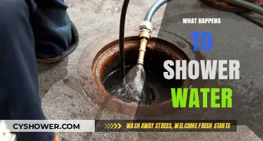Where Does Shower Water Go? Tracing the Journey After Drainage