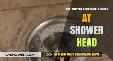 Shower Head Bracket Breaks: Causes, Risks, and Quick Fixes Explained