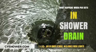 Poo in Shower Drain: Unclogging Tips and Preventive Measures