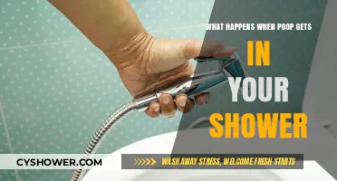 Shower Mishap: What Happens When Poop Contaminates Your Shower?
