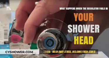 Shower Head Regulator Failure: Causes, Consequences, and Quick Fixes