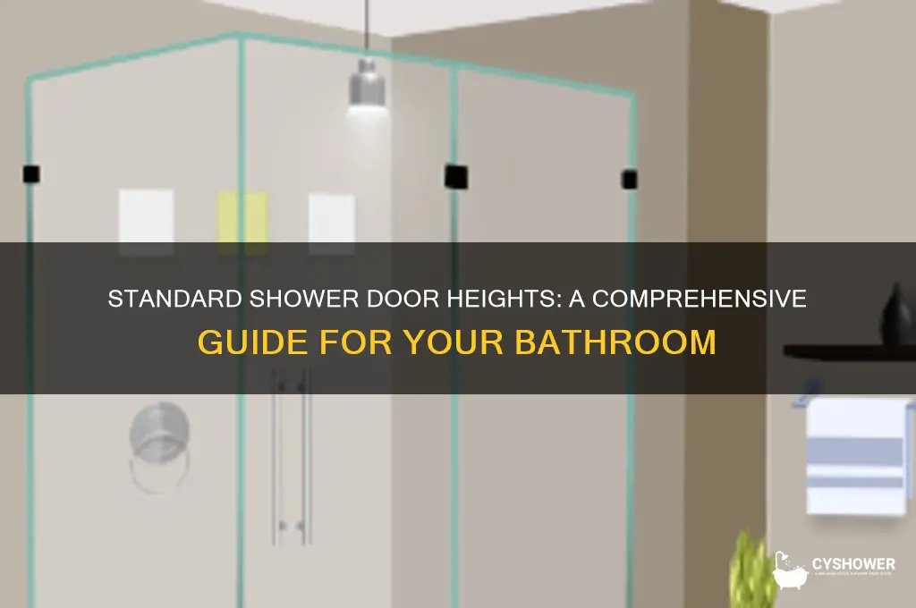 what height are shower doors