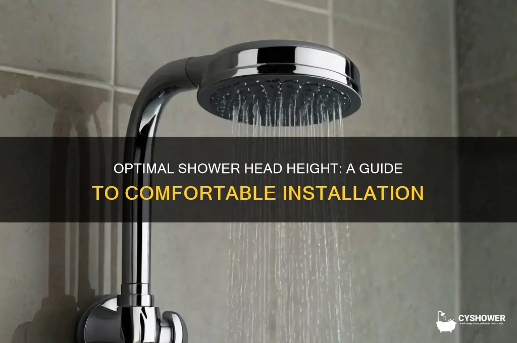 what height do you install a shower head