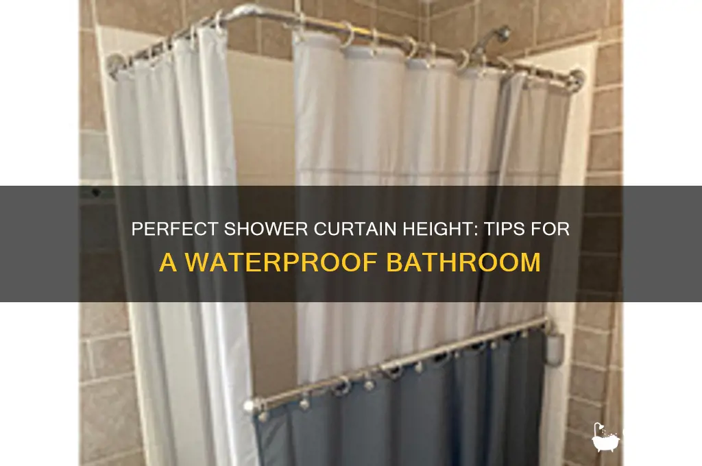 what height should shower curtain be