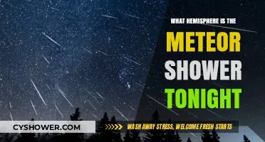 Tonight's Meteor Shower: Which Hemisphere Offers the Best View?