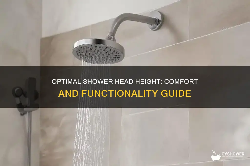 what highth for shower head