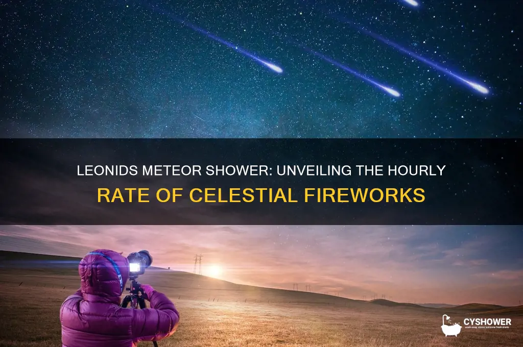what hourly rate of leonids meteor shower