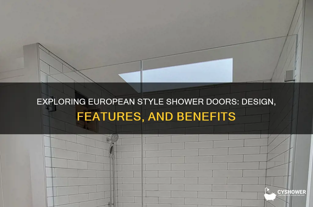 what ia european style shower door