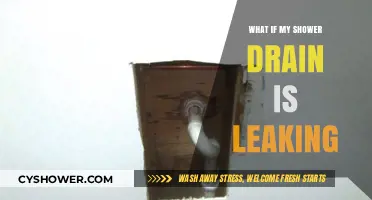 Shower Drain Leaking? Quick Fixes and Prevention Tips Revealed